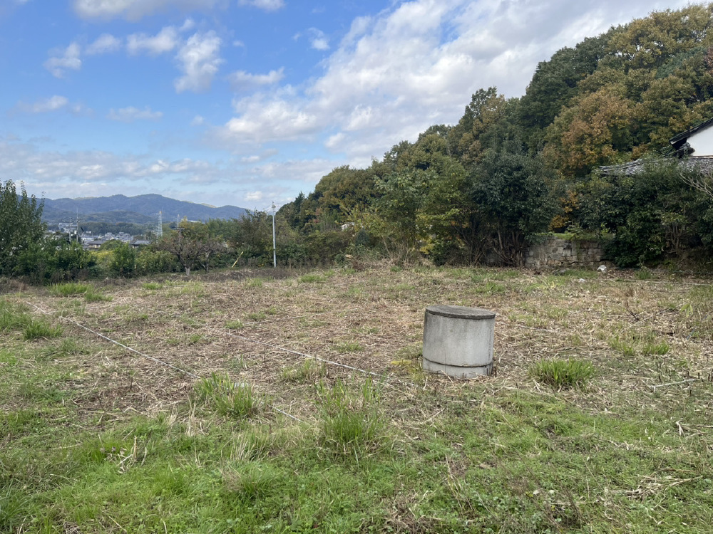 地縄張り