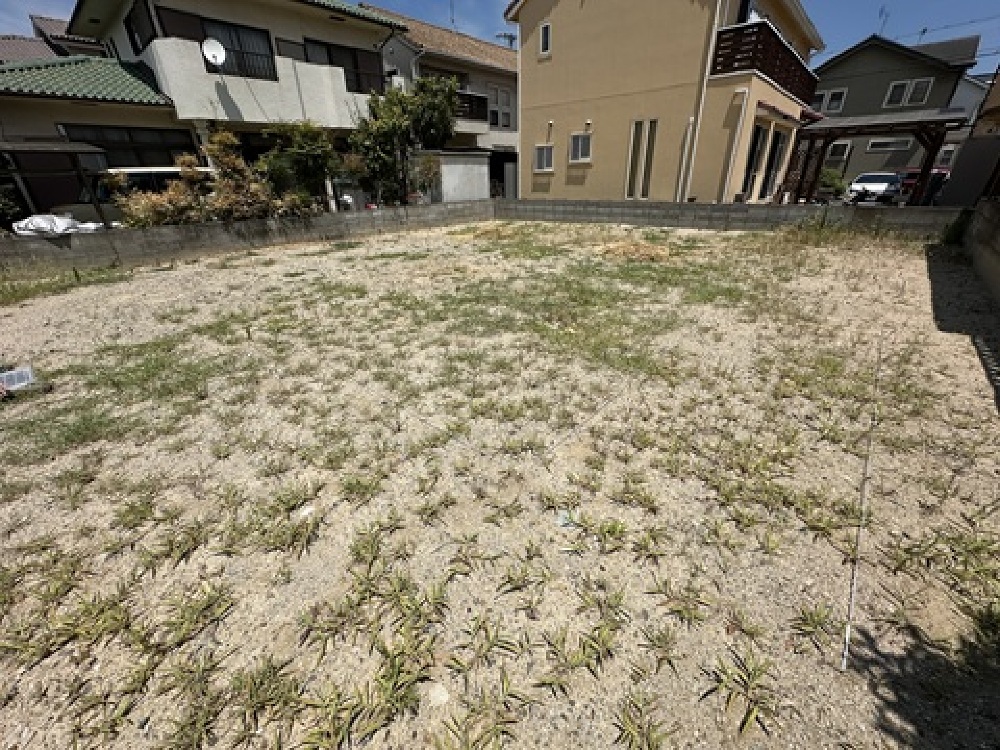 地縄張り