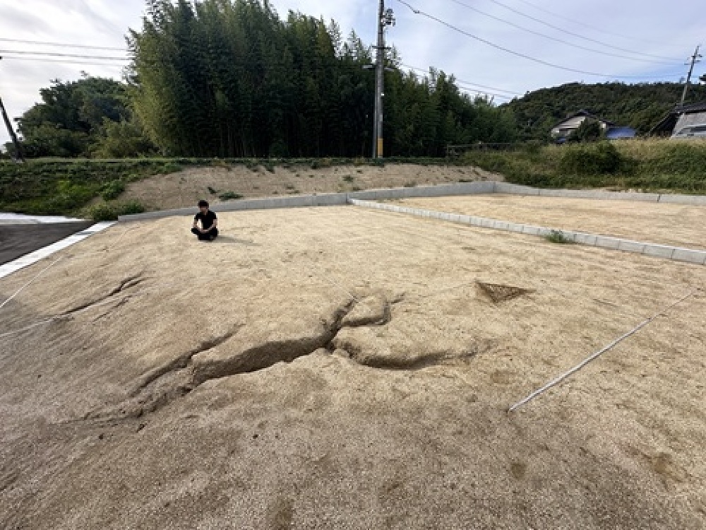 地縄張り